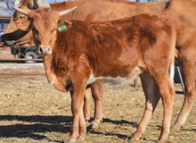 JACKHAMMER X CTC FAME & FORTUNE TAG 302